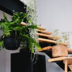 modern staircase with indoor plants in puebla