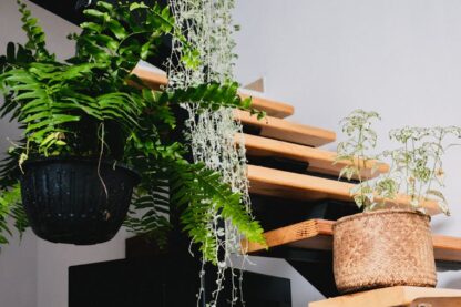 modern staircase with indoor plants in puebla